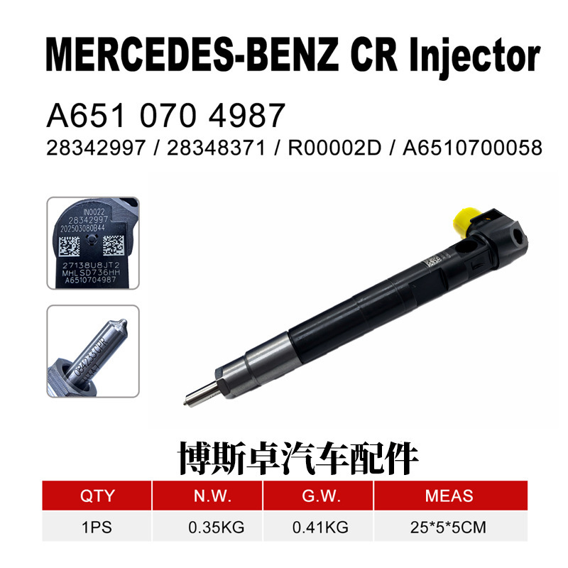 A6510704987 Is Suitable for Delphi Fuel Injector 28342997/28348371/R00002D
