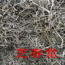 金花菜 金花菜品牌 图片 价格 金花菜批发 阿里巴巴