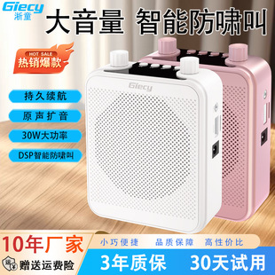 Free Shipping Giecy Little Bee Amplifier Wireless Microphone Speaker Amplifier Headset Megaphone Teacher Tour Guide