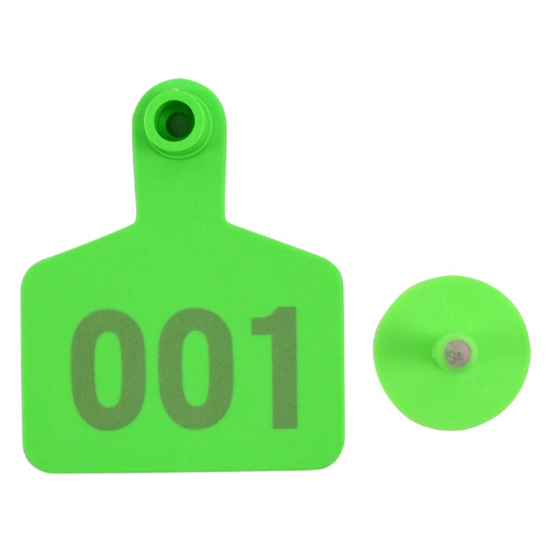 Etiqueta de oreja de cerdo, ganado y oveja con palabras Etiqueta de oreja de oveja etiqueta de número Etiqueta de oreja de oveja con palabras Etiqueta de oreja de oveja