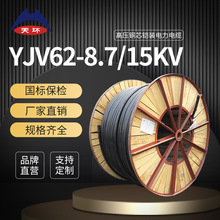 天环 ZC-YJV62高压铜电缆 国标单芯10KV阻燃电力电缆