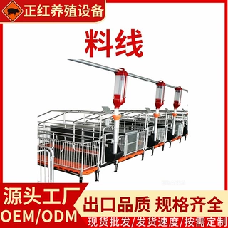 正红农牧养殖设备养殖场60母猪料线全自动料线养猪场料线