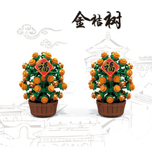 �Bī����OӋMOC�aƷ�Ї��L����ϵ�н�ۘ丣��DIYС�w��ƴ�b�eľ