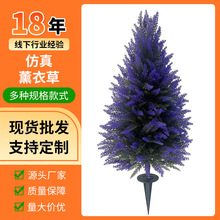 ���R�d����޹�²ݾGֲ�ز�Gֲ���ϻ���@�L��ز������滨�b�