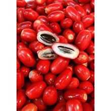 ���ع������}��������Ҋ������������ɸ�׃ζ�X ʮ���b