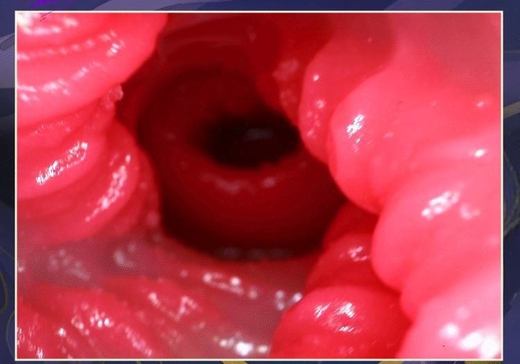 Shan Hai Jing Fox Spirit Male Masturbator, Manual TPE Hip Replica, Flesh Tone — detail image 27