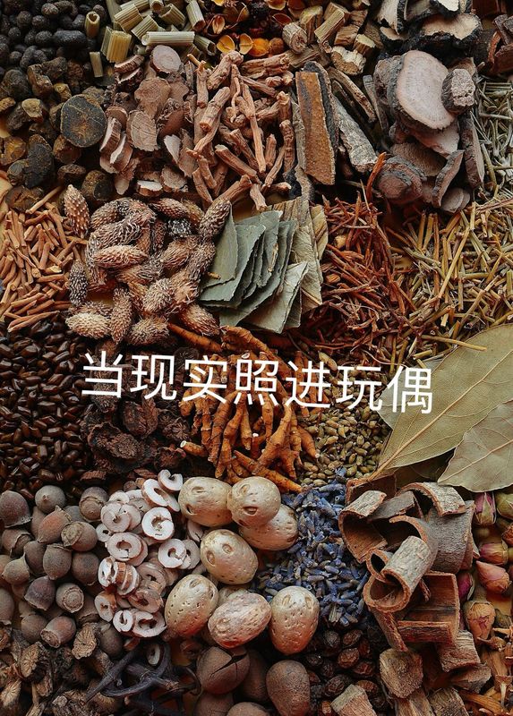 现货可爱中药系列过家家药煲毛绒煲治百病药材毛绒普及知识玩偶|undefined