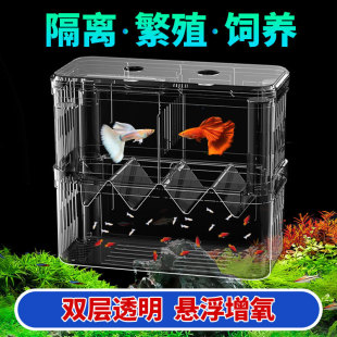 Fish tank isolation box aquarium tank incubator tropical fish small fish young fish spawning room peacock breeding box