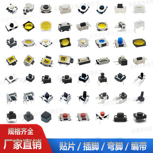 Manufacturer Touch Switch 6*6 Plug-In 12*12 Patch 4X4 Membrane Switch Turtle Switch Waterproof Button