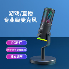 Enping eスポーツゲームマイクRGB雰囲気ライトデスクトップマイクライブ録音カラオケ有線コンデンサーマイク