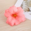 【Pomelo Pink】