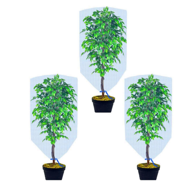 微信图片_20210530011125