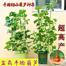 �������J�N�Ӽ������^�p����ֲ��N��С���J�N���̨�����J�ѷN��