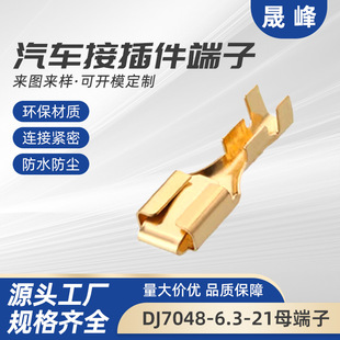 DJ7048-6.3-21ĸ���Ӳ�Ƭ �ķ��� 6.3��� ��܇�ƿ܇�Ӿ��~����