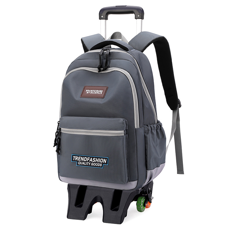 Nuevo pescado natural bolsas escolares ligeras, bolsas escolares de gran capacidad para niños de escuela primaria, bolsas escolares de 3 - 6 grados