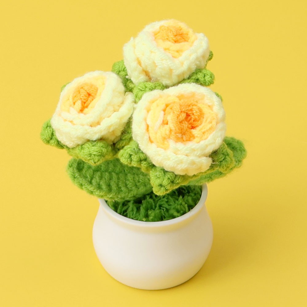 Amarillo degradado - 3 macetas de rosas de burbuja (maceta blanca)