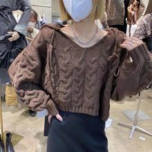 韩国东大门女装新款2025秋装慵懒风麻花连帽粗线针织衫保暖毛衣女