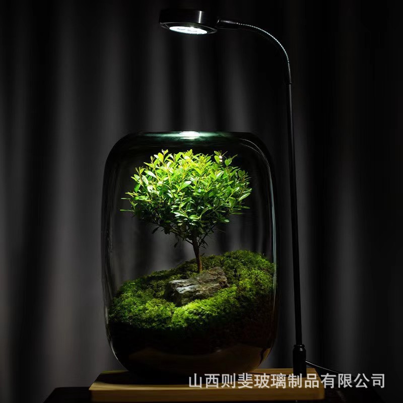 创意桌面苔藓微景观造景全套成品玻璃容器盆景鲜活生态瓶盆栽鱼缸