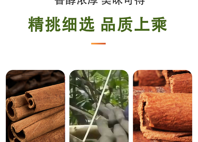 Gui Pi (Cinnamomum cassia) — Dried Cassia Bark for Culinary & Herbal Use specifications