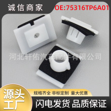 75316-TP6-A01�m��춱���˼��֎��܇�T������ȹ߅�̶�����