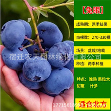 ϴ{ݮԴ߾GʯF̨ͥԺļֲԵ