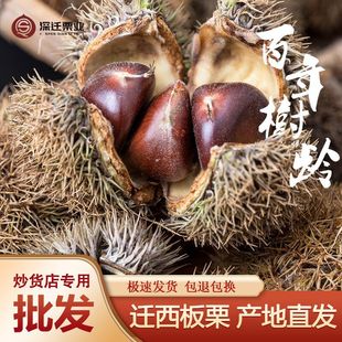 2025�����w������100�����l �ӱ�313���������r �����ǳ�3113����