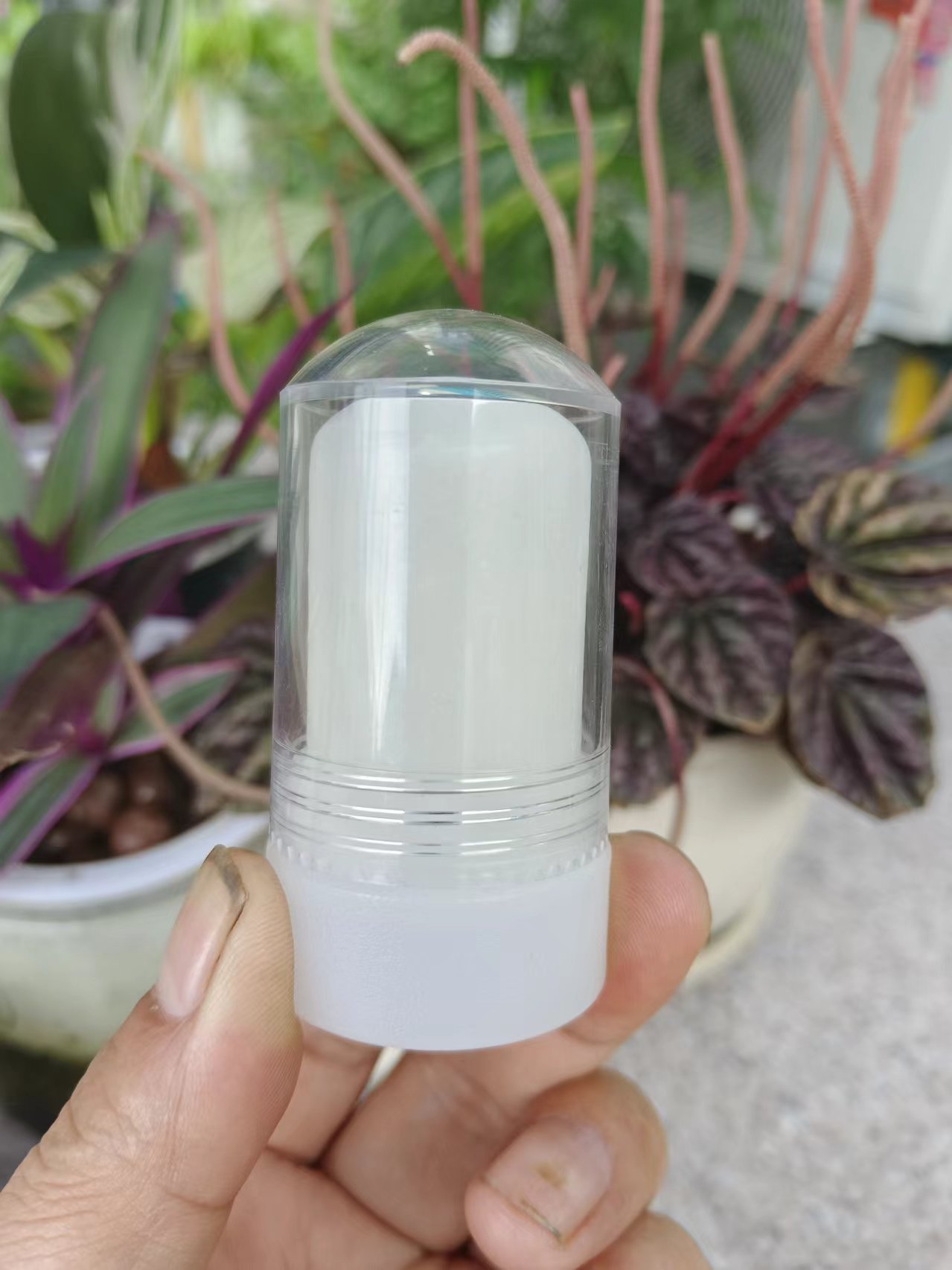 微信图片_20240618165829