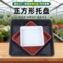 耐用加厚外贸家庭托盘