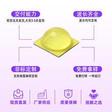 led厂家 9090灯珠 白光 9090led 35w大功率钓鱼灯led灯珠