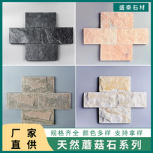 SҶĢʯe⠝uϼtĻʯGʯӢu¹ű