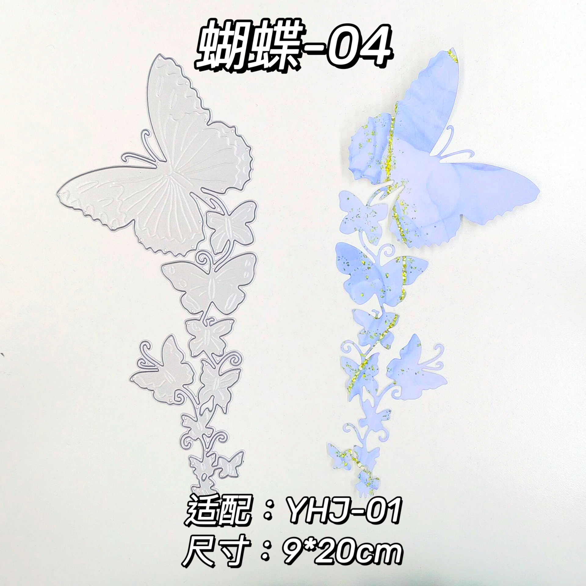 DM-butterfly-04