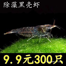 �坍�쾰�����r�����ښ��r��ˮ����ό���ݳ����r���^�p