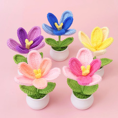 クロスボーダー手編み毛糸の花、開花したチューリップの小さな鉢植え完成品、スズランの造花、卓上装飾、教師へのギフト