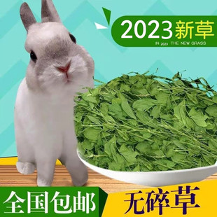 alfalfa dry feed rabbit rabbit chinchilla guinea pig food animal husbandry rabbit food