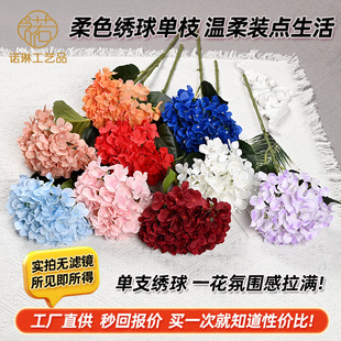 ���l�����֦85�^����·�����ÔzӰ�����b�c�����������ٻ�