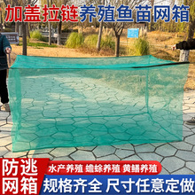 ���l�W���Bֳ�W���w���q�S�XС���r���ӾW�䌣���B�~�W��S��ֱ��