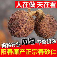 ꖴ���ɰ�������خa ɳ��Ұ��ꖴ�ɰ�V�|ɰ���Ҝ�100��