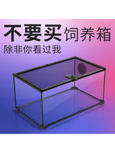 ����Reptizoo����������B���ת{����֩���،m���x���������ָ���