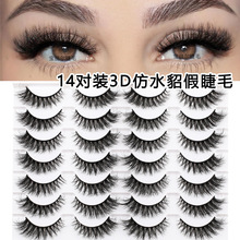 14��ըë���ɼٽ�ë���l�W�����������ܾ��N��y�۽�ë���ɼ���