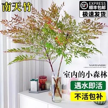 ˮ��������Gֲ�҃ȿ͏d���B���ֲ���k��������С���ԃ����՚�