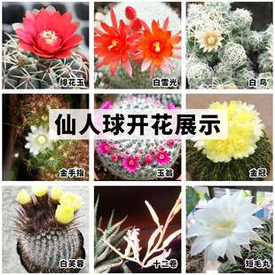 ����ֲ��������С��������ָ�����k������[���҃������ƽM������