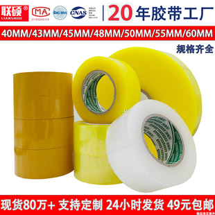 ͸���z���䎧 �z�����f����z��������z�������z��͸���������l