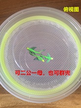 ���R�~�a�Ѻз�ֳ�а��R�~��ֳ�W���x�з��������x���R�������x�W