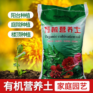�I�B���@ˇͨ��ֲ������������|�ЙC��̿�Nֲ��̿�N�˶�����