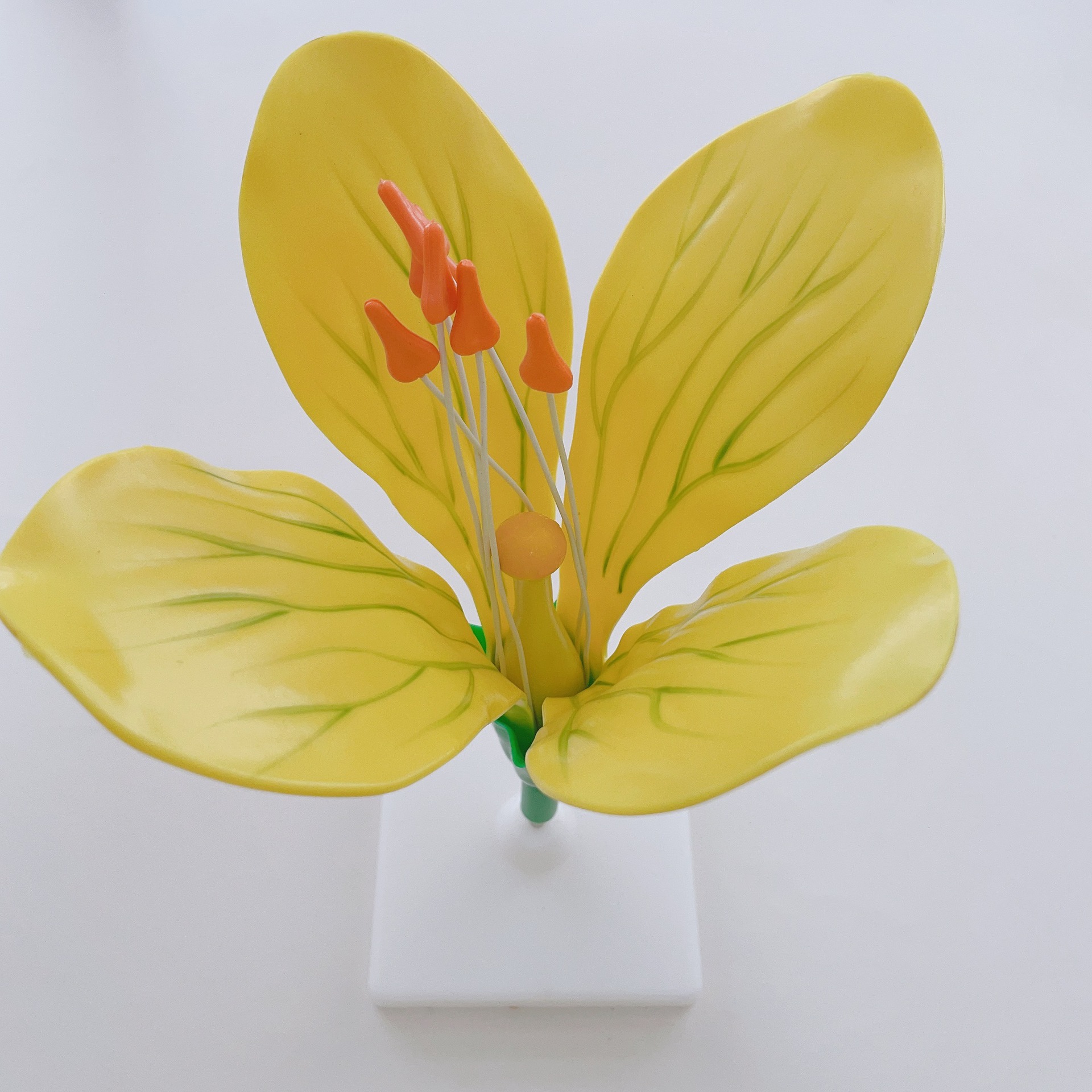 3220油菜花模型供应向阳花卷心菜花防真模型厂家直销各类花类模型