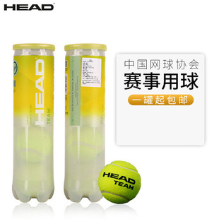 HEAD����TEAM�W���ِӖ��������������ˌ���Ӗ���Љ����b��