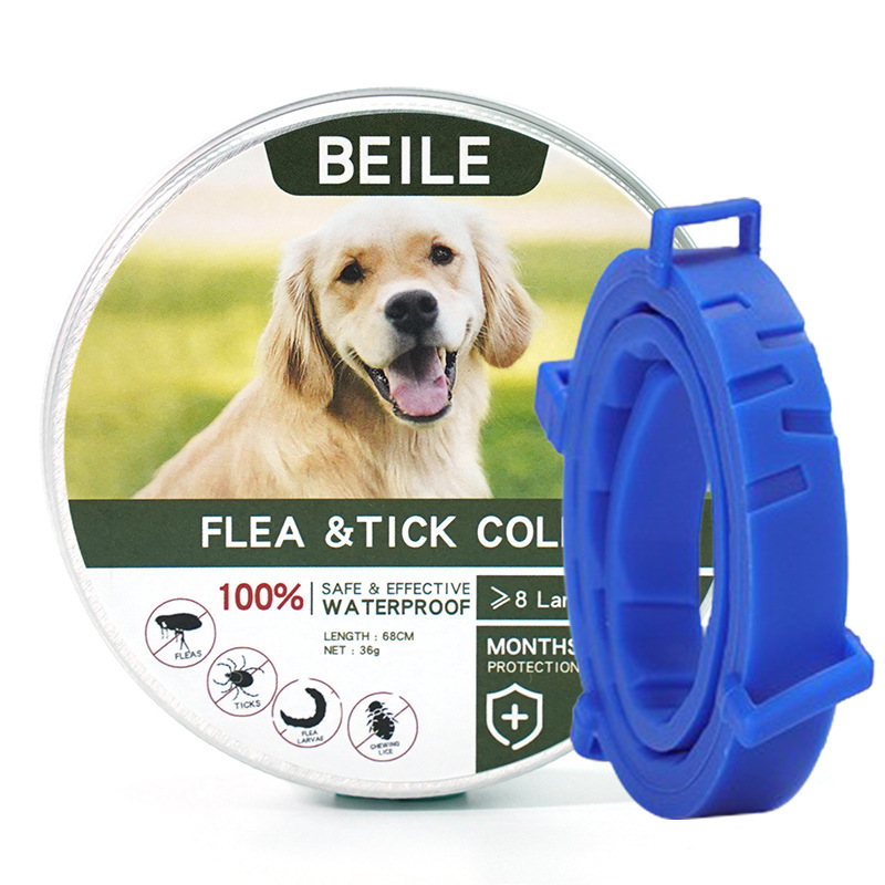 새로운 녹색 상자 긴 파란색 칼라