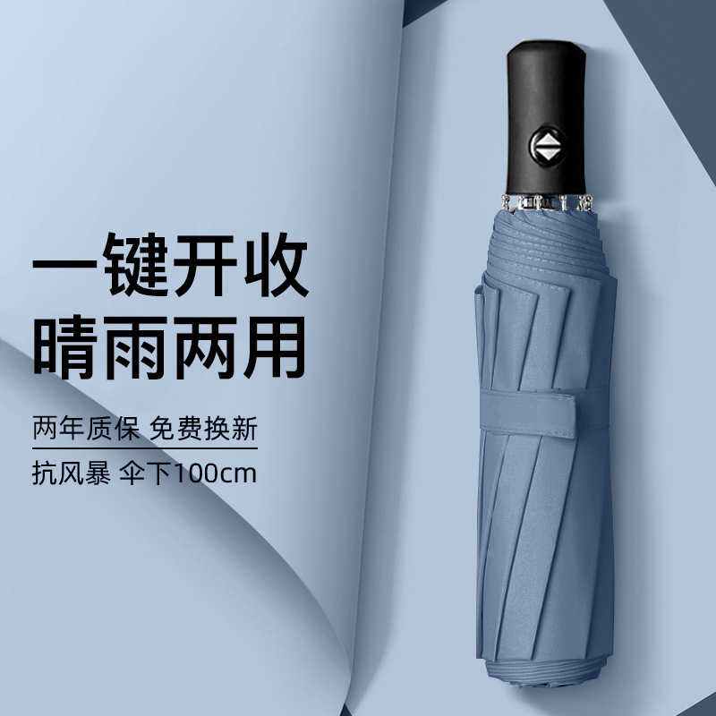 헤이즈 블루 [완전 자동 + 유리 섬유 방풍 우산 본]