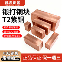 T2�߼������~�KC1100�t�~�Ŷ������l呴����~�����늘Oģ���~��