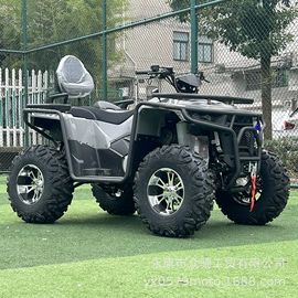 沙滩车;碰碰车卡丁车;其他摩托车